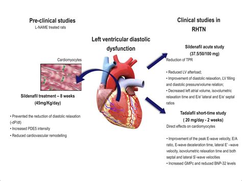 moderate lv dysfunction|moderately impaired lv function.